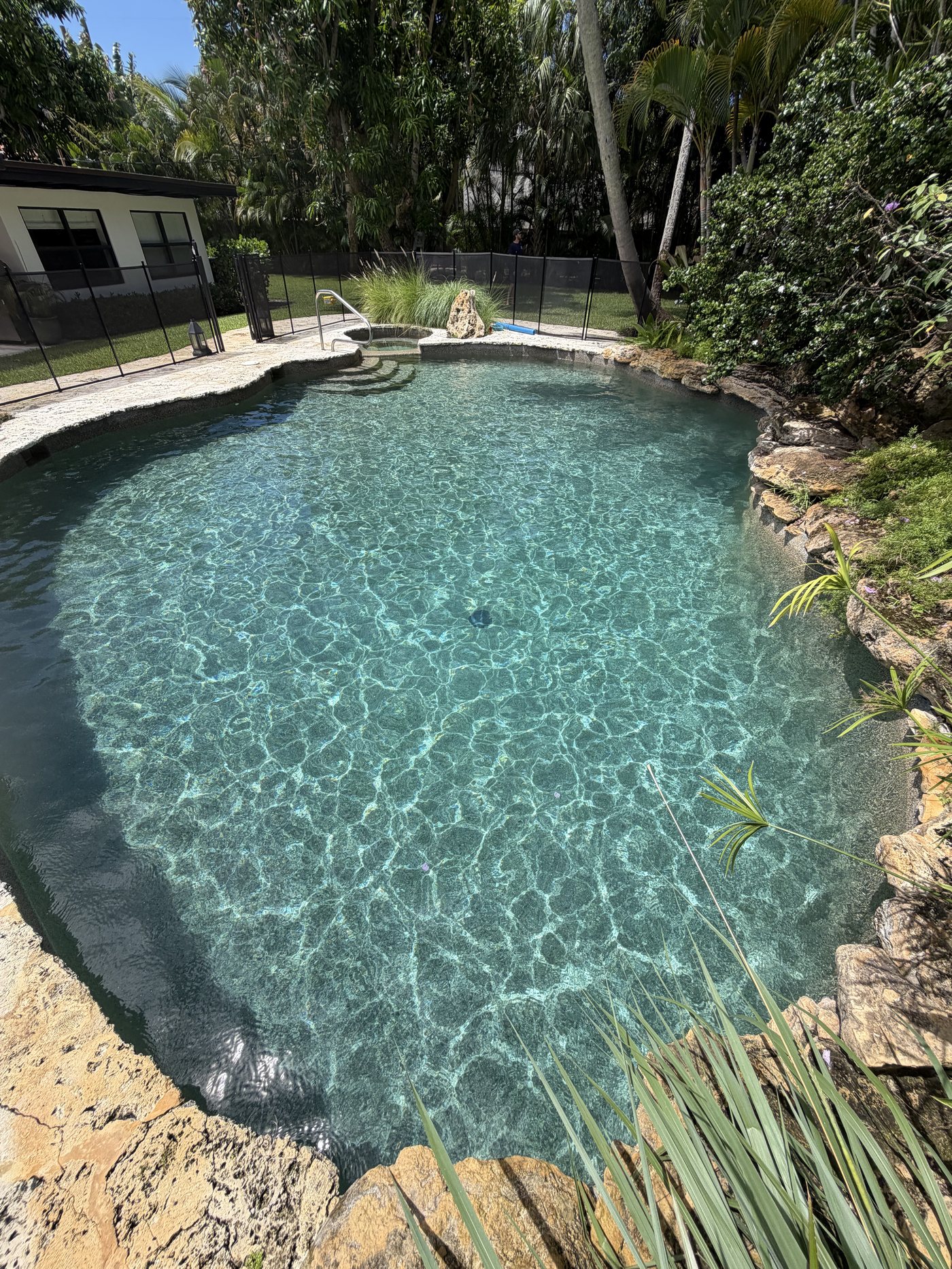 Sparkling clean pool after TruBlue Pools of Palm Beach algae treatment