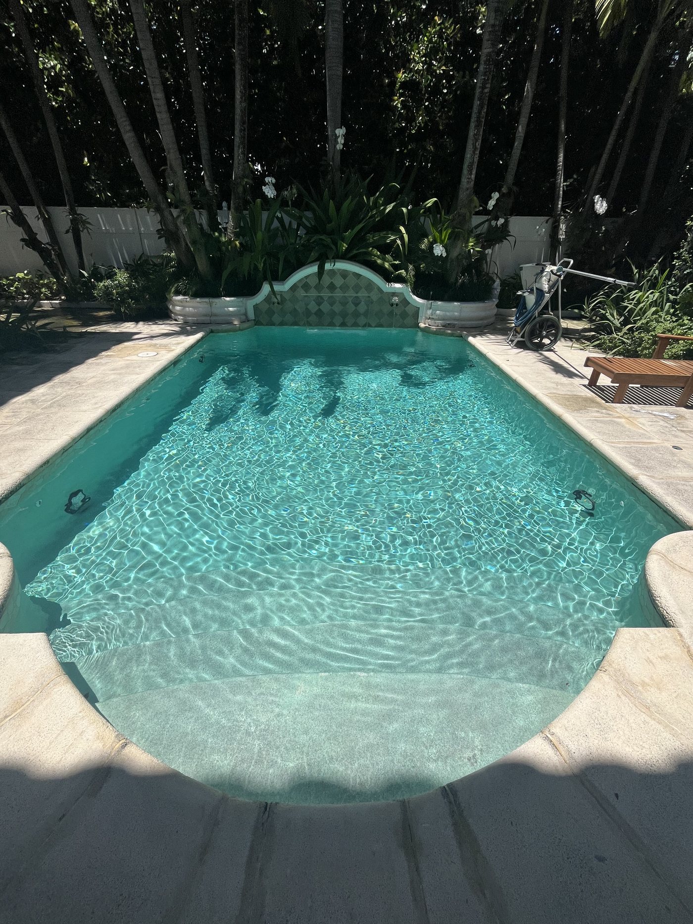 Clear tropical pool serviced by TruBlue Pools of Palm Beach